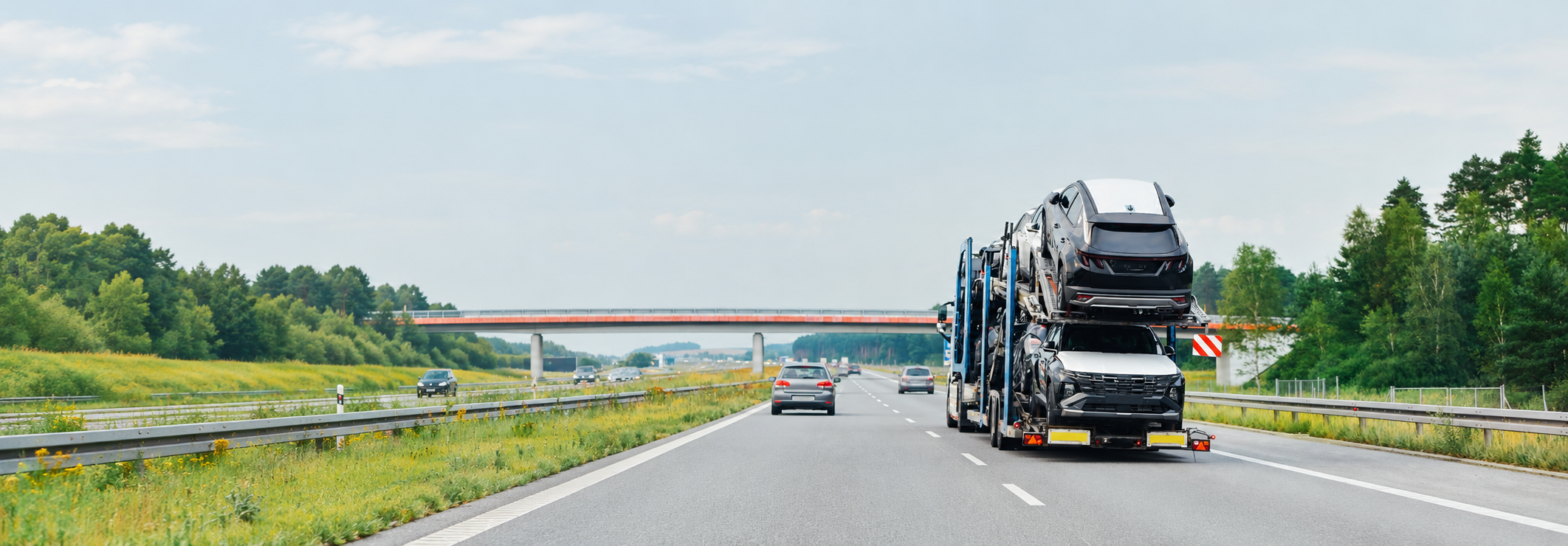 Axle Lane Vehicle Transport Carrier